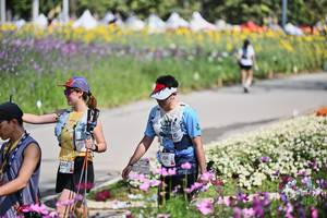 BIB: 
                            <button type="button" onclick="openModal(27794439)" class="btn btn-primary btn-sm float-right btn-popup" data-toggle="modal" data-target=".modal-high-quality">
                        <i class="fas fa-shopping-cart"></i> Add to Cart
                    </button>
                                            <button type="button" onclick="isThisMe(27794439, true)" class="btn btn-success btn-sm float-right btn-popup btn-isme hidden" data-toggle="tooltip" data-placement="bottom" title="นี่คือรูปของคุณใช่ไหม คลิกที่นี่เพื่อเอาเข้าอัลบั้ม">
                        <i class="fas fa-plus"></i> Add to album
                    </button>
                    <button type="button" onclick="isThisMe(27794439, false)" class="btn btn-warning btn-sm float-right btn-popup btn-isnotme hidden">
                        <i class="fas fa-ban"></i> Remove from album
                    </button>